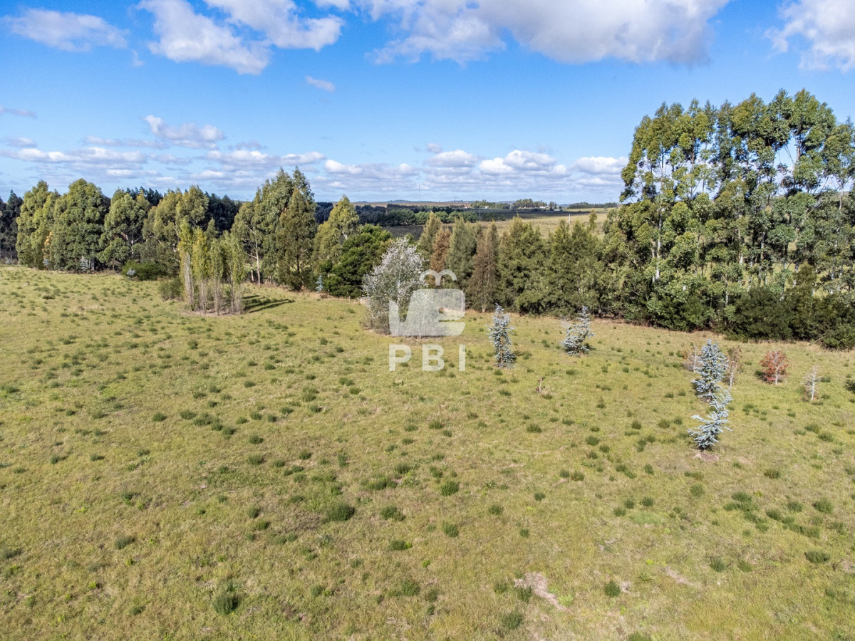 Punta Ballena - GoPunta - Portal Inmobiliario de Punta del Este - Maldonado
