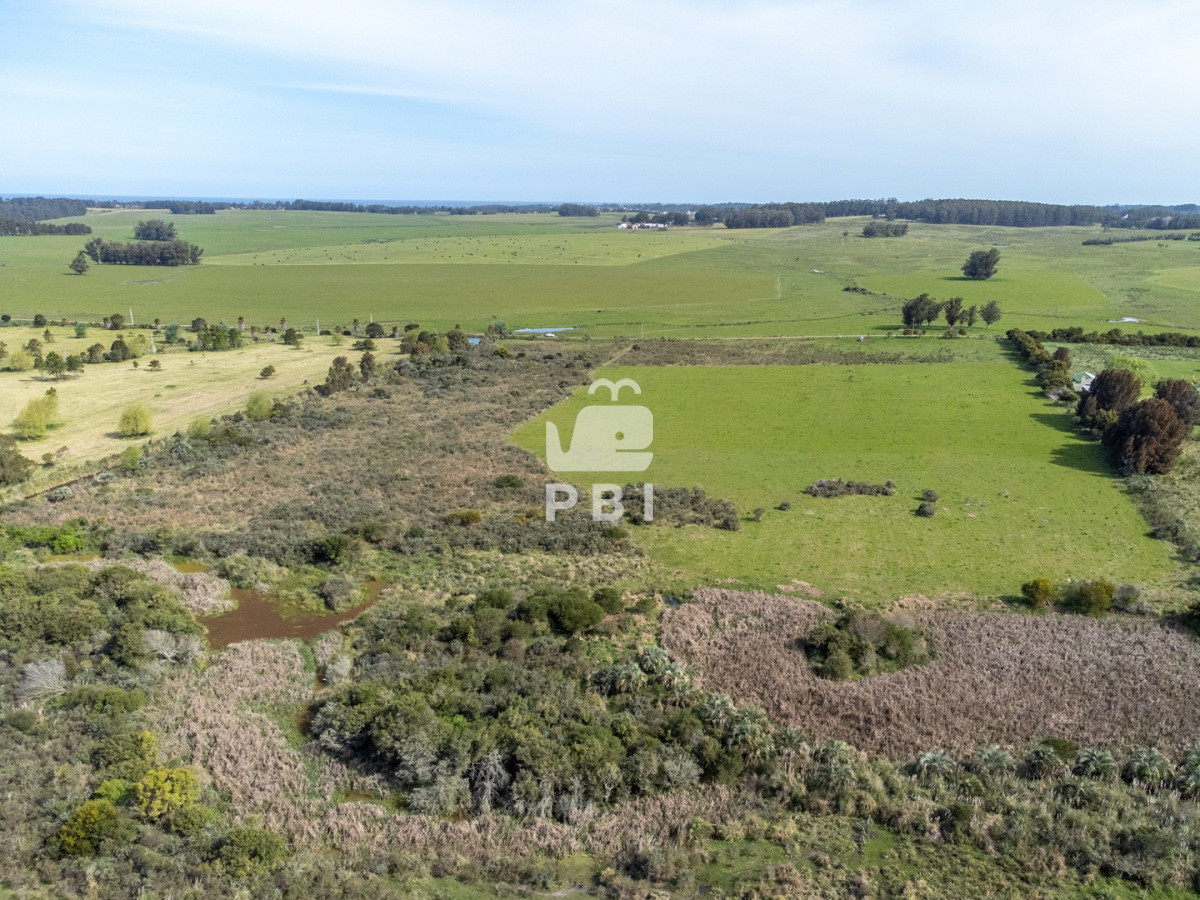 Ruta 104 - GoPunta - Portal Inmobiliario de Punta del Este - Maldonado
