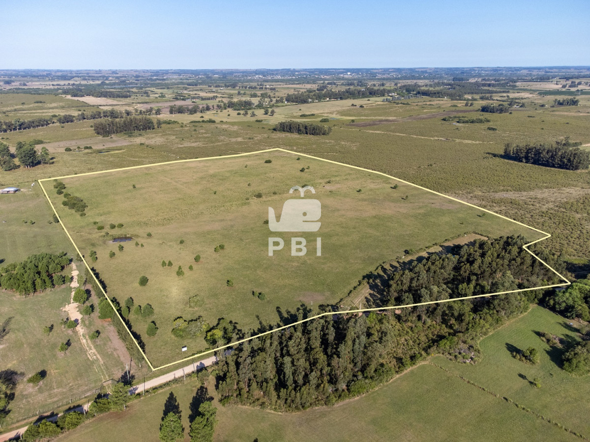 Venta de Chacra en Las Vertientes, Punta Ballena - Ref : PBI2354
