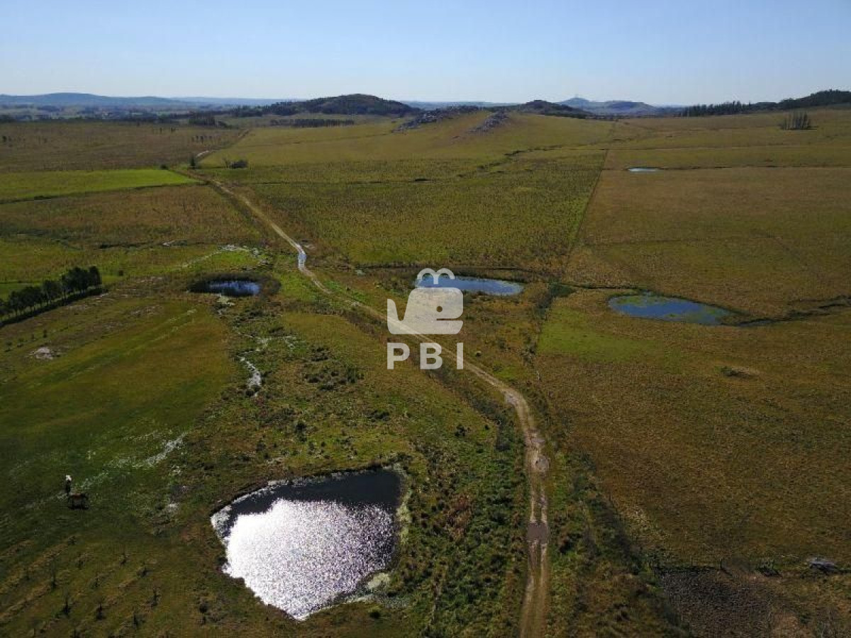 Q2hhY3JhIGVuIHZlbnRhIGVuIExhZ3VuYSBkZWwgU2F1Y2UsIFB1bnRhIEJhbGxlbmEgIC0gUmVmIDogUEJJMTUyMjI=