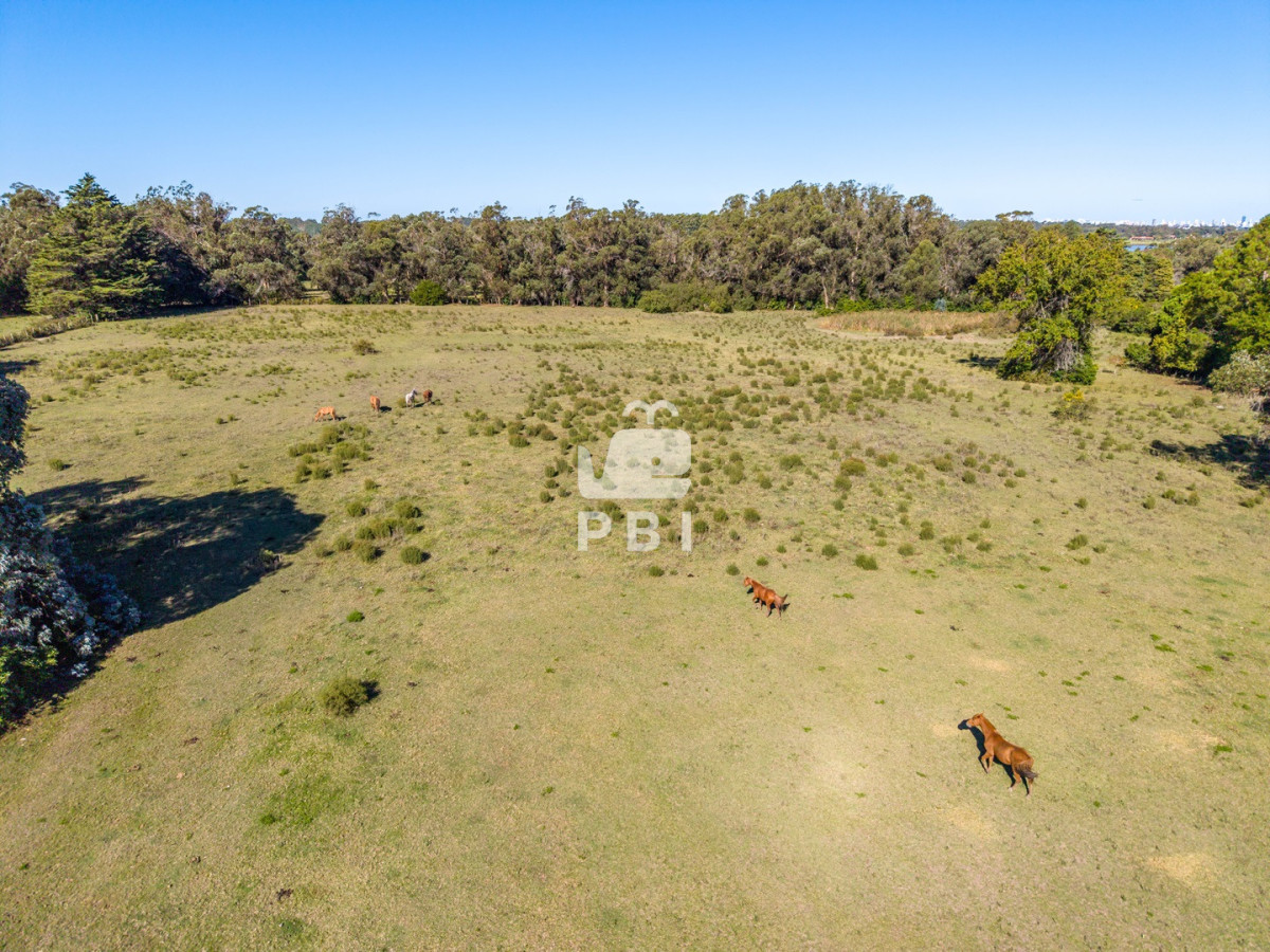 Q2hhY3JhIGVuIHZlbnRhIGVuIENhbWlubyBMdXNzaWNoLCBQdW50YSBCYWxsZW5hIC0gUmVmIDogUEJJMTU0NDk=