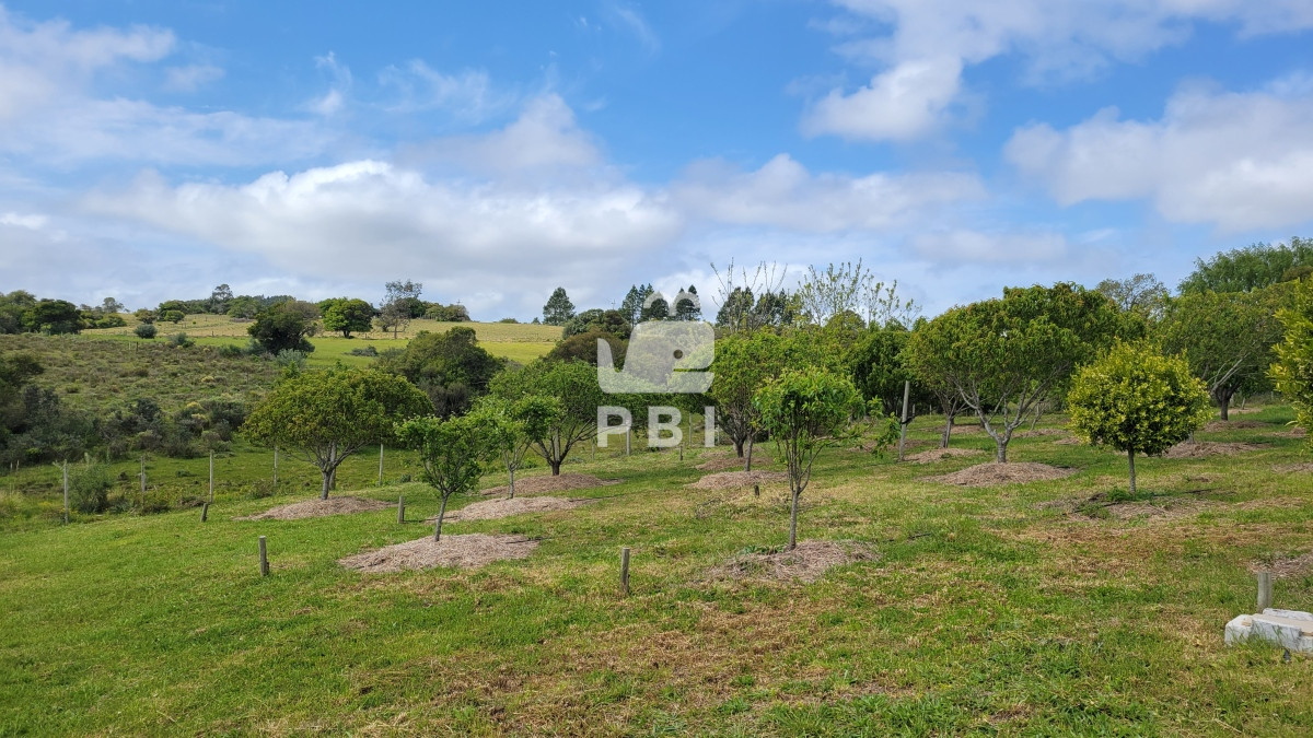 Q2hhY3JhIGVuIE1hbGRvbmFkbyAtIFJlZiA6IFBCSTEyNjY3