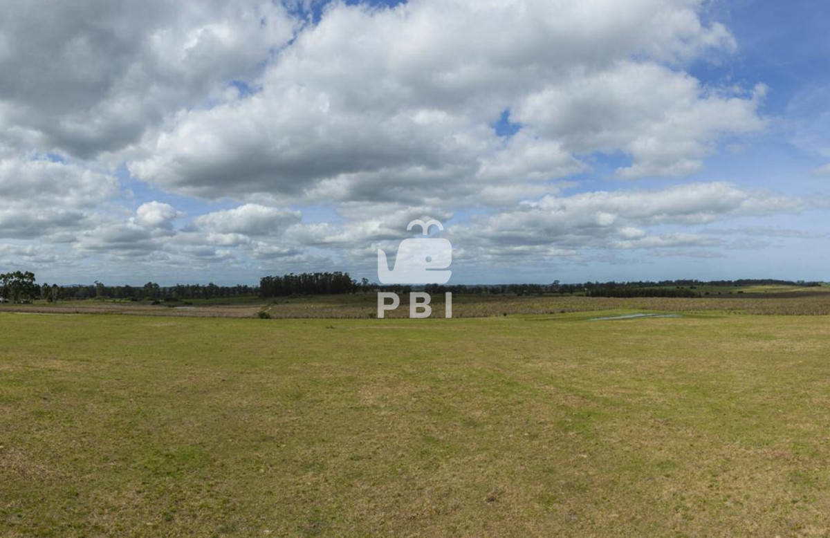 Punta Ballena - GoPunta - Portal Inmobiliario de Punta del Este - Maldonado