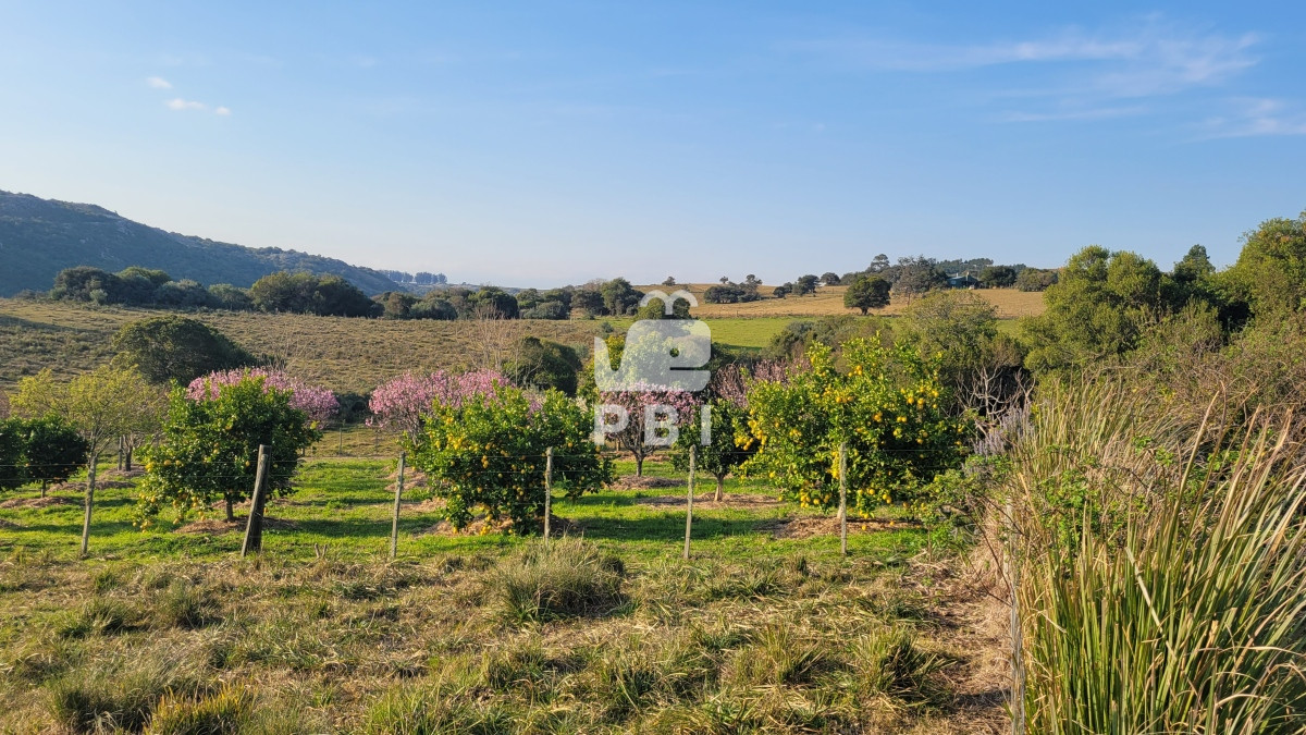 Q2hhY3JhIGVuIE1hbGRvbmFkbyAtIFJlZiA6IFBCSTEyNjY3