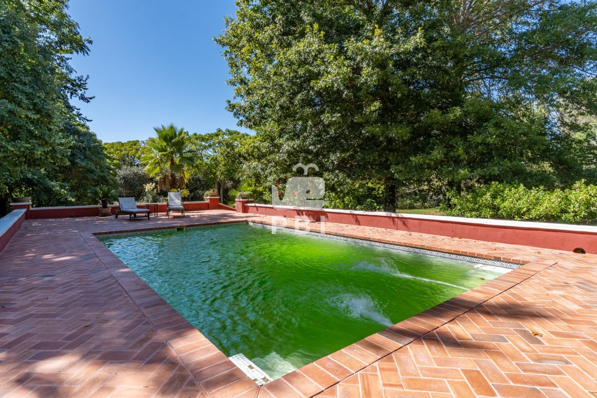 Q2hhY3JhIGVuIENhbWlubyBMdXNzaWNoLCBQdW50YSBCYWxsZW5hIC0gUmVmIDogUEJJMzEwNQ==