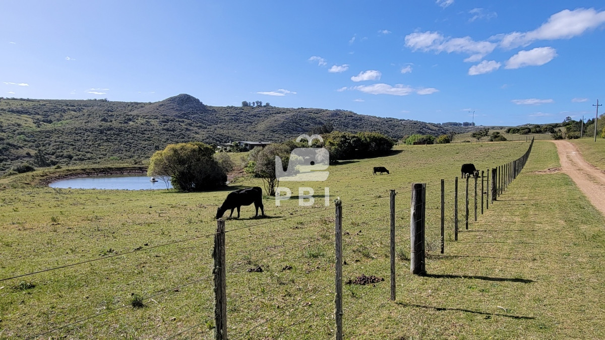 Q2hhY3JhIGVuIE1hbGRvbmFkbyAtIFJlZiA6IFBCSTEyNjY3