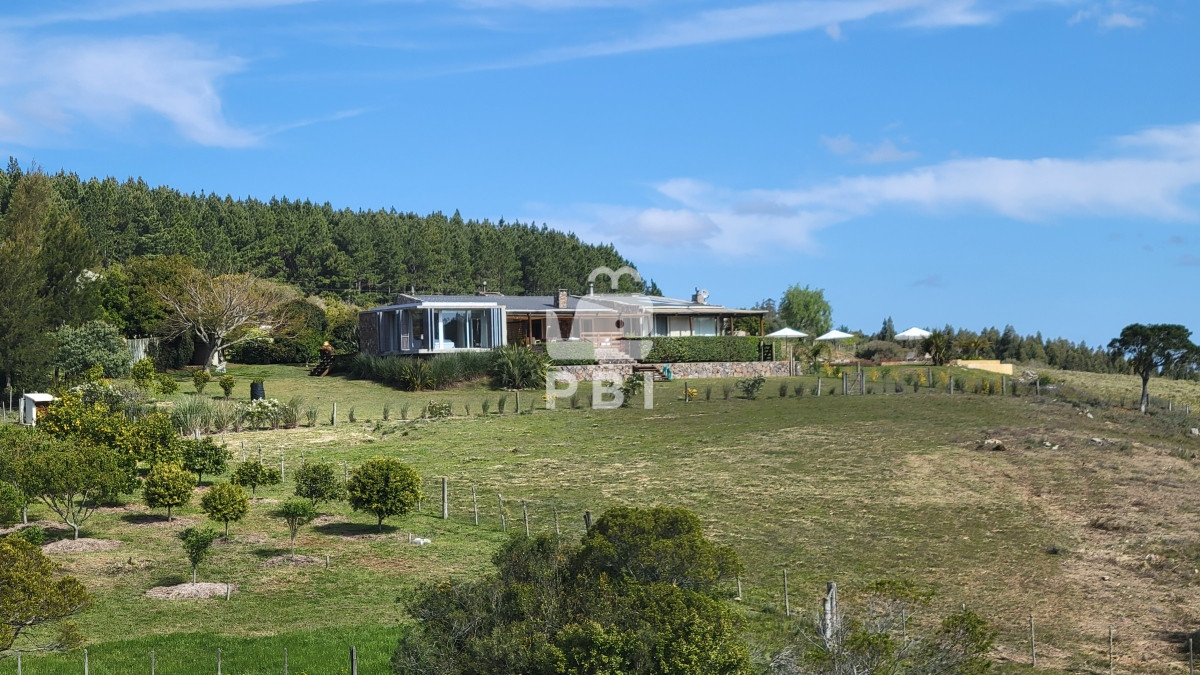 Q2hhY3JhIGVuIE1hbGRvbmFkbyAtIFJlZiA6IFBCSTEyNjY3