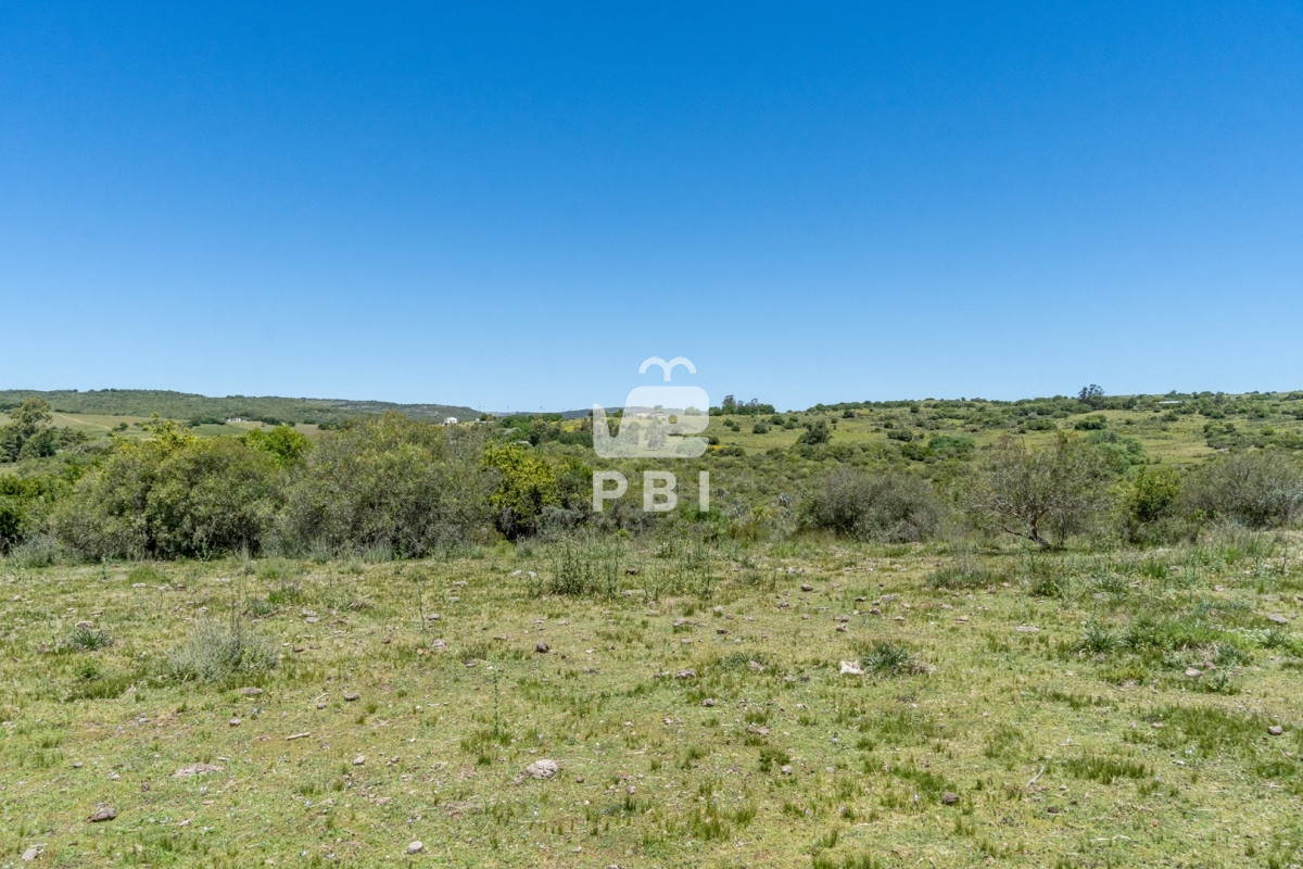 Aiguá - GoPunta - Portal Inmobiliario de Punta del Este - Maldonado