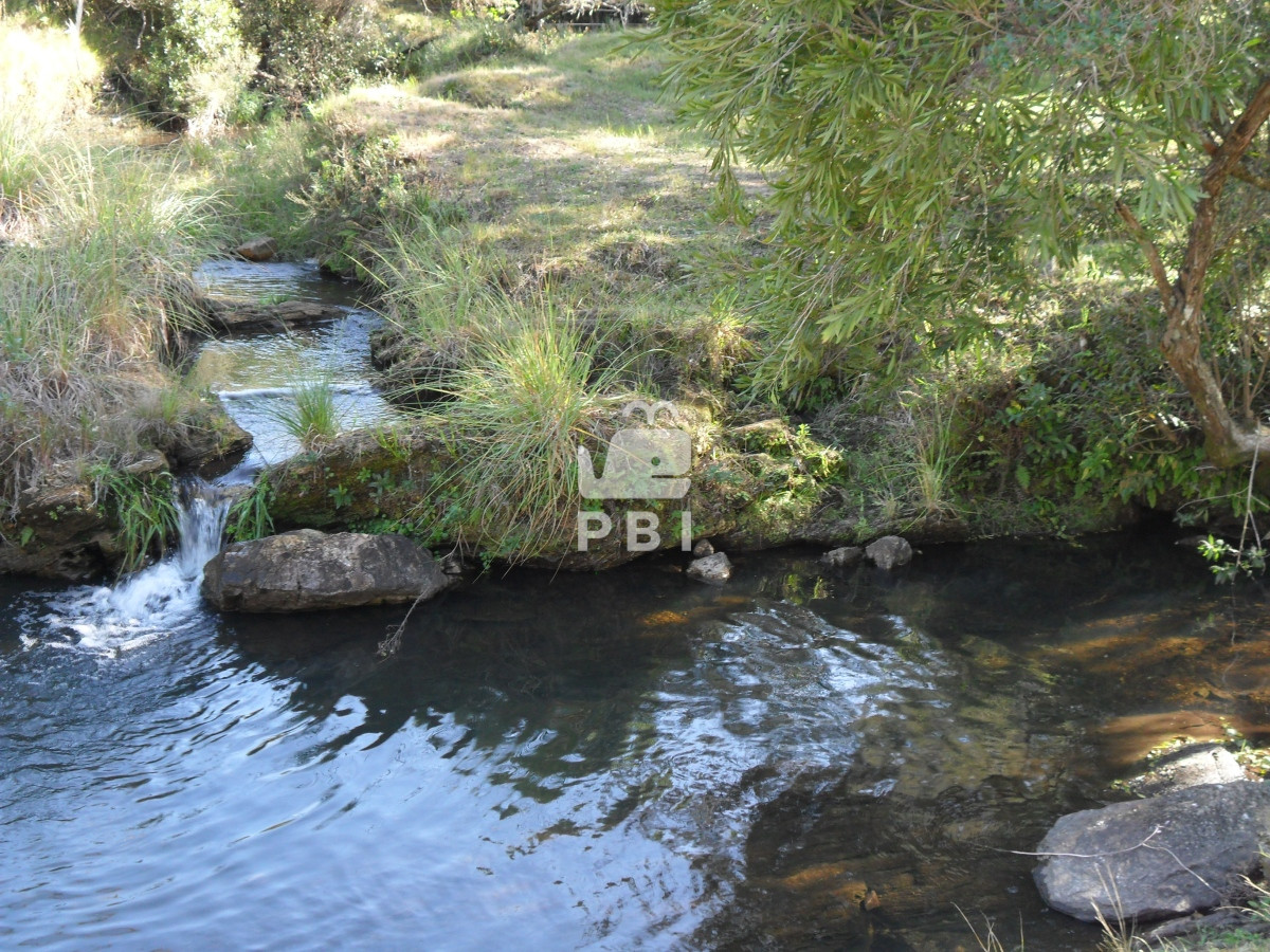 Q2hhY3JhIGVuIE1hbGRvbmFkbyAtIFJlZiA6IFBCSTEyNjY3