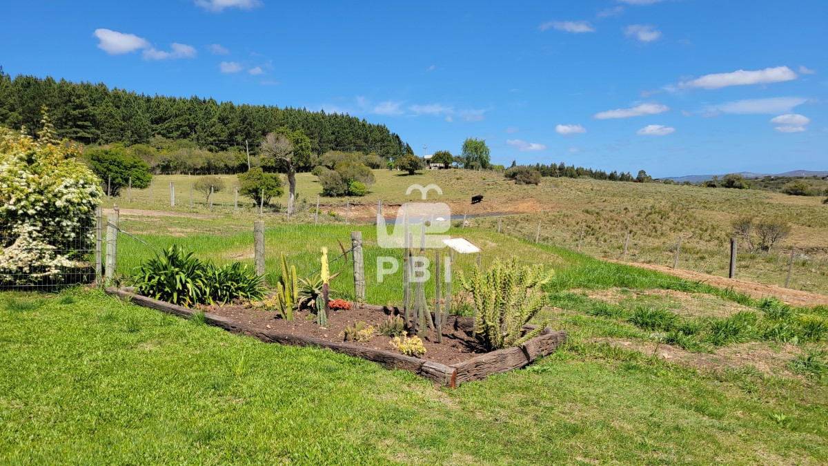 Q2hhY3JhIGVuIE1hbGRvbmFkbyAtIFJlZiA6IFBCSTEyNjY3