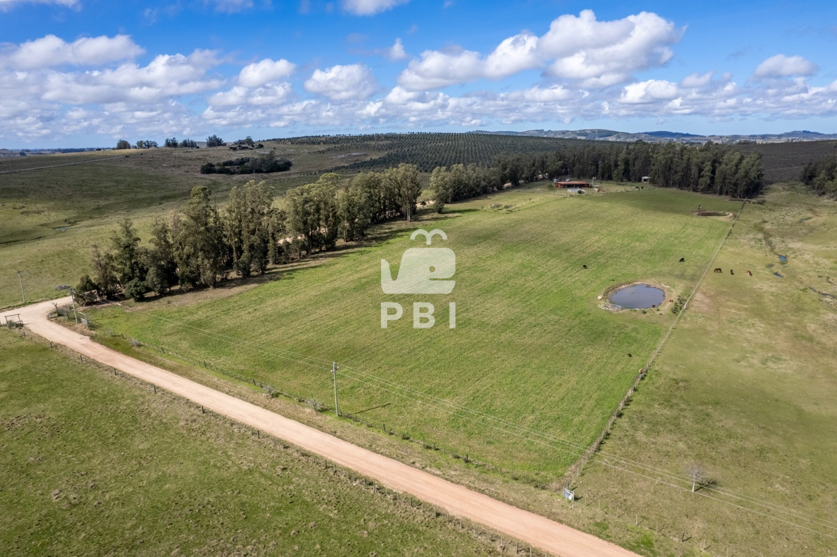 Pueblo Eden - GoPunta - Portal Inmobiliario de Punta del Este - Maldonado