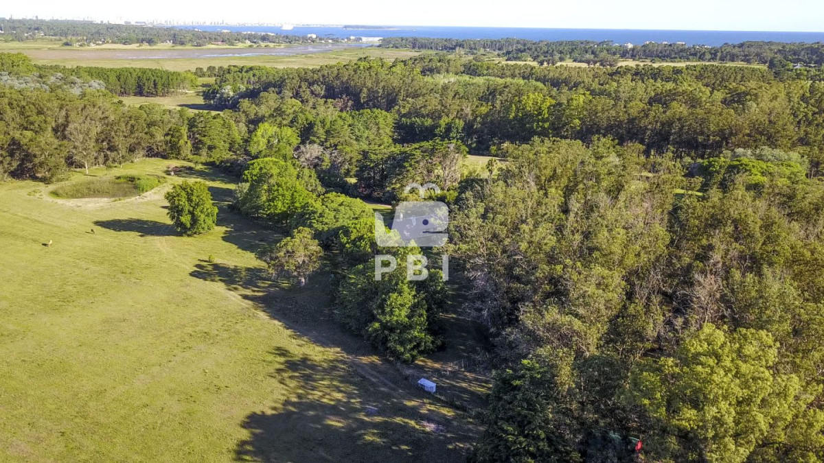 Q2hhY3JhIGVuIHZlbnRhIGVuIENhbWlubyBMdXNzaWNoLCBQdW50YSBCYWxsZW5hIC0gUmVmIDogUEJJMTU0NDk=