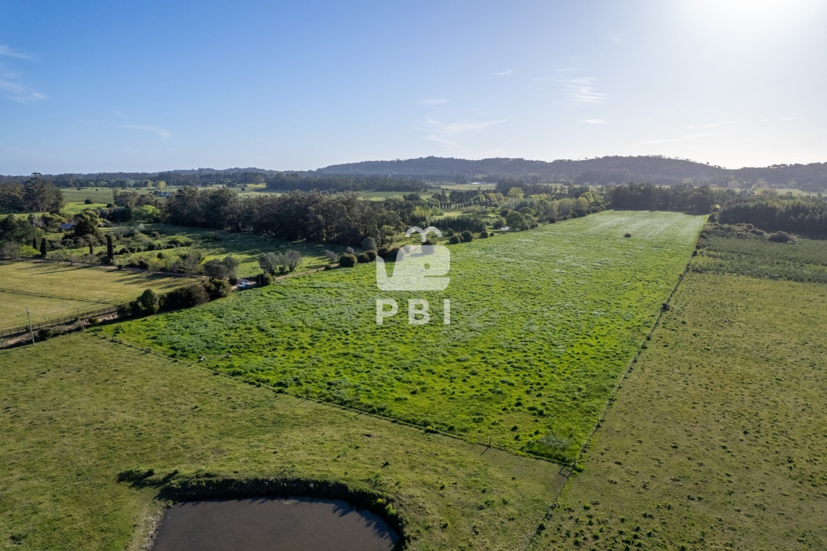 Q2hhY3JhIGVuIExhIFBhdGFpYSwgUHVudGEgQmFsbGVuYSAtIFJlZiA6IFBCSTEyOTQw