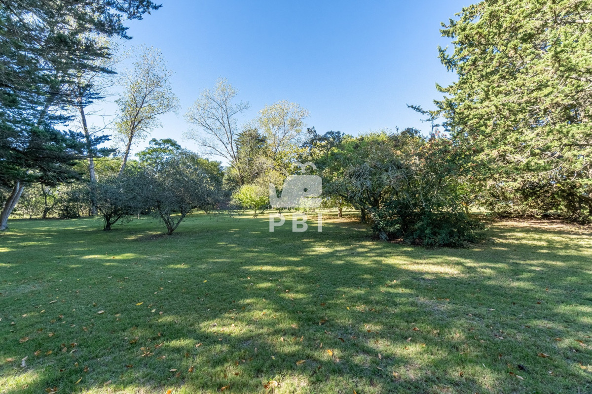 Q2hhY3JhIGVuIHZlbnRhIGVuIENhbWlubyBMdXNzaWNoLCBQdW50YSBCYWxsZW5hIC0gUmVmIDogUEJJMTU0NDk=