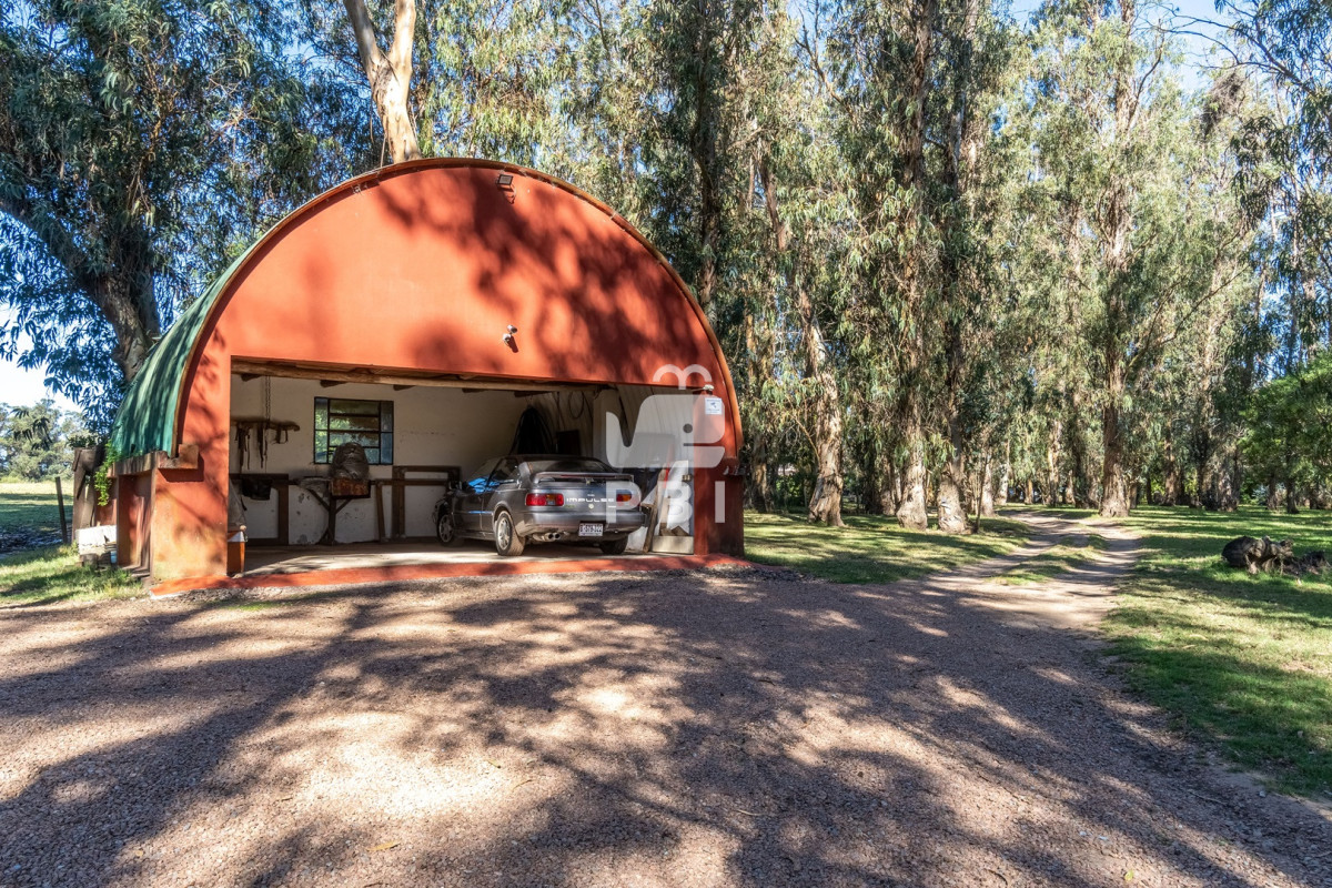 Q2hhY3JhIGVuIHZlbnRhIGVuIENhbWlubyBMdXNzaWNoLCBQdW50YSBCYWxsZW5hIC0gUmVmIDogUEJJMTU0NDk=