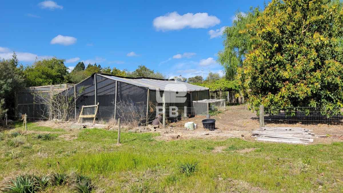 Q2hhY3JhIGVuIE1hbGRvbmFkbyAtIFJlZiA6IFBCSTEyNjY3