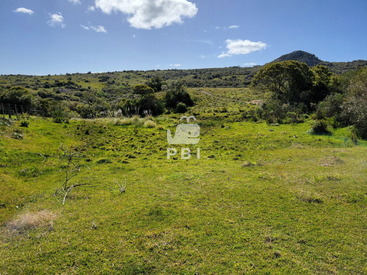 Q2hhY3JhIGVuIE1hbGRvbmFkbyAtIFJlZiA6IFBCSTEyNjY3