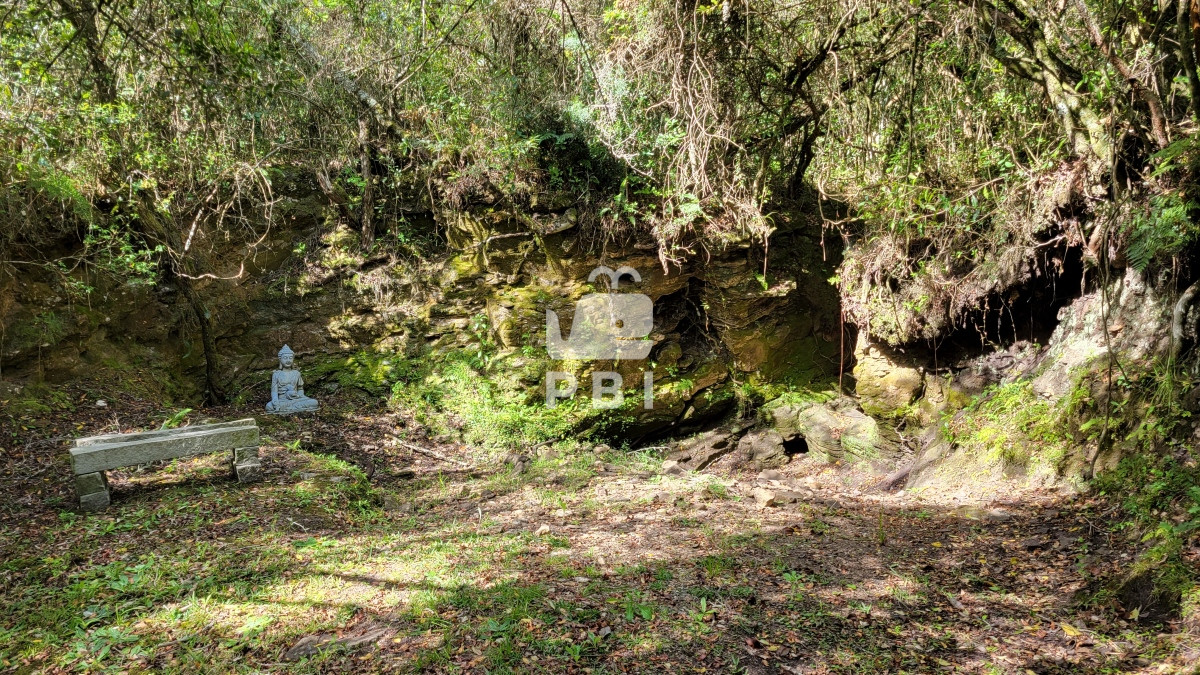 Q2hhY3JhIGVuIE1hbGRvbmFkbyAtIFJlZiA6IFBCSTEyNjY3