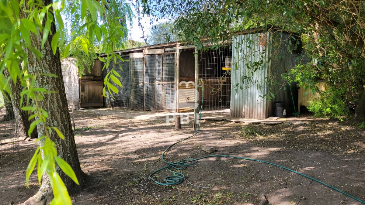 Q2hhY3JhIGVuIE1hbGRvbmFkbyAtIFJlZiA6IFBCSTEyNjY3