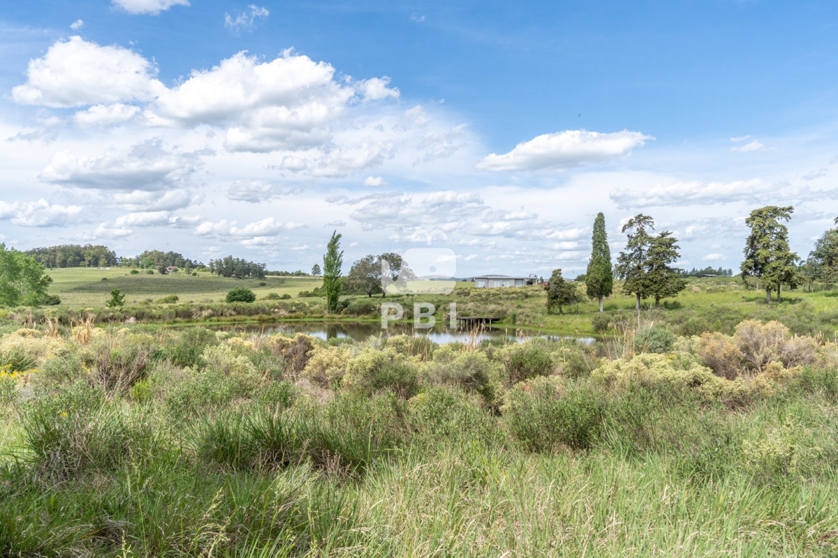 Q2hhY3JhIGRlIDUgSEEgY29uIGNhc2EgZGUgMiBkb3JtaXRvcmlvcyBjZXJjYSBkZSBQdWVibG8gRWRlbiAtIFJlZiA6IFBCSTE1Mzcx