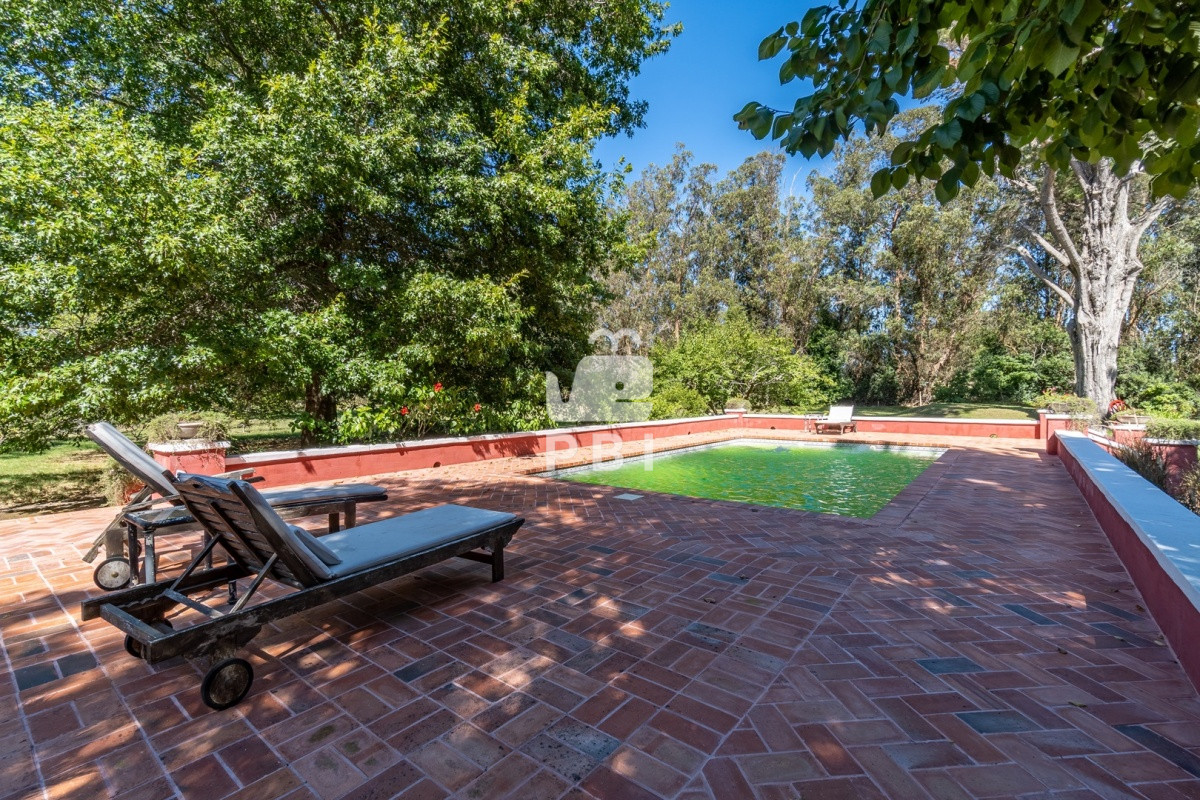 Q2hhY3JhIGVuIENhbWlubyBMdXNzaWNoLCBQdW50YSBCYWxsZW5hIC0gUmVmIDogUEJJMzEwNQ==