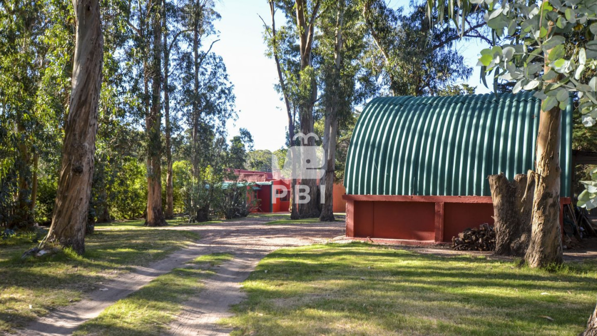 Q2hhY3JhIGVuIHZlbnRhIGVuIENhbWlubyBMdXNzaWNoLCBQdW50YSBCYWxsZW5hIC0gUmVmIDogUEJJMTU0NDk=