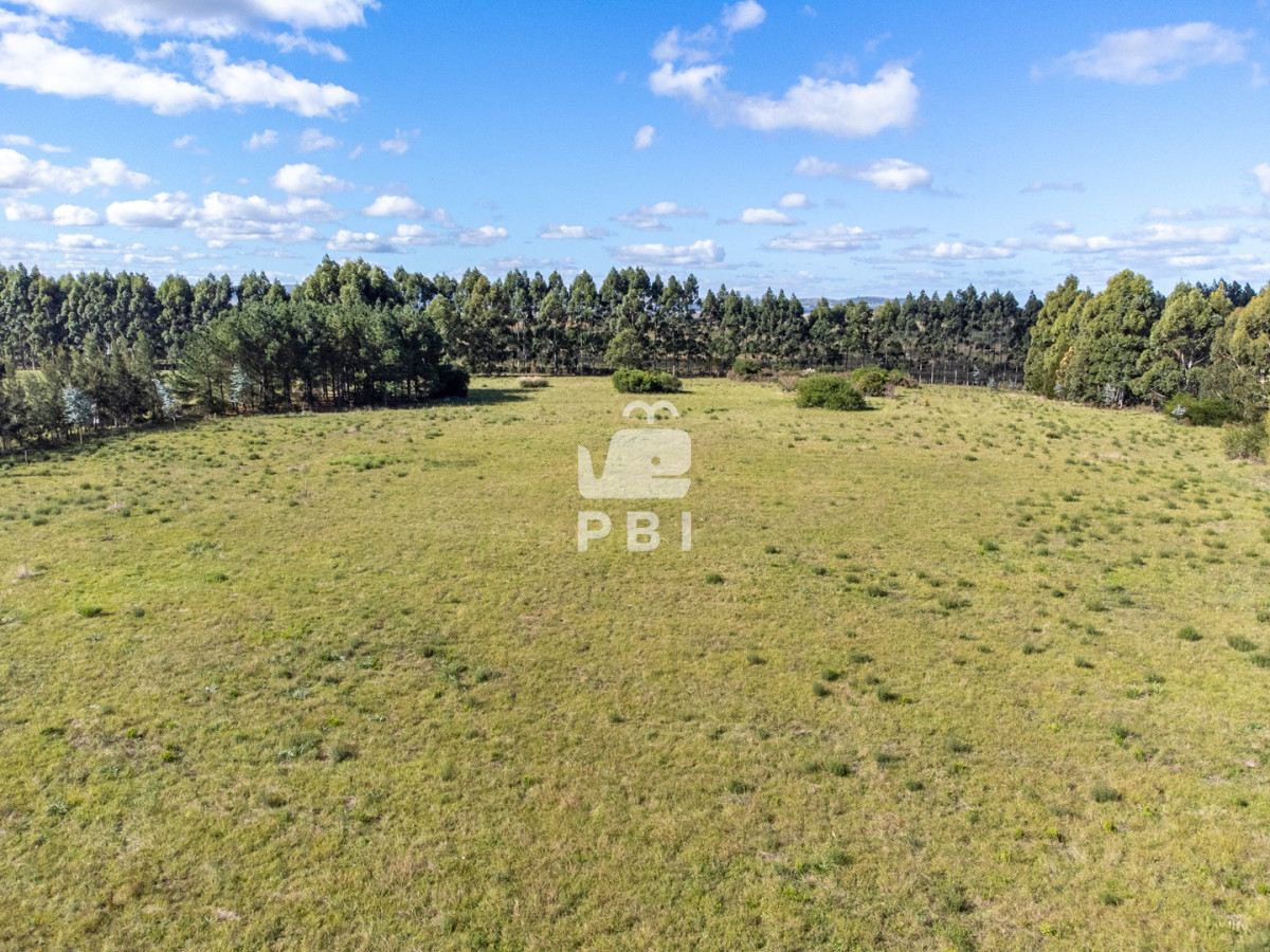 Punta Ballena - GoPunta - Portal Inmobiliario de Punta del Este - Maldonado