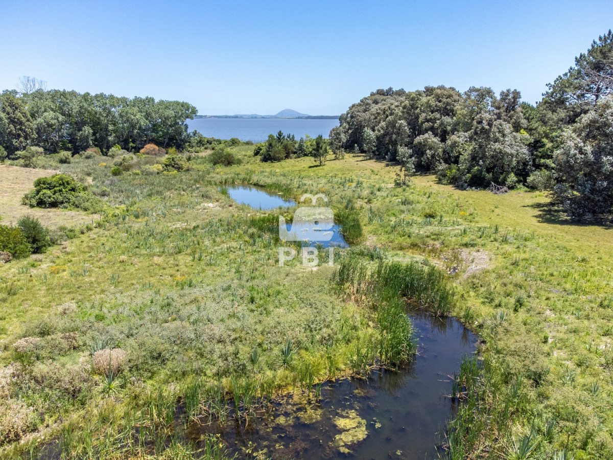 VmVudGEgZGUgQ2hhY3JhIGVuIExhZ3VuYSBkZWwgU2F1Y2UsIFB1bnRhIGRlbCBFc3RlIC0gUmVmIDogUEJJMjE1NQ==