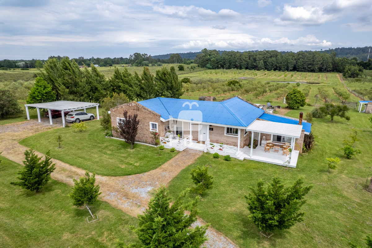La Pataia - GoPunta - Portal Inmobiliario de Punta del Este - Maldonado