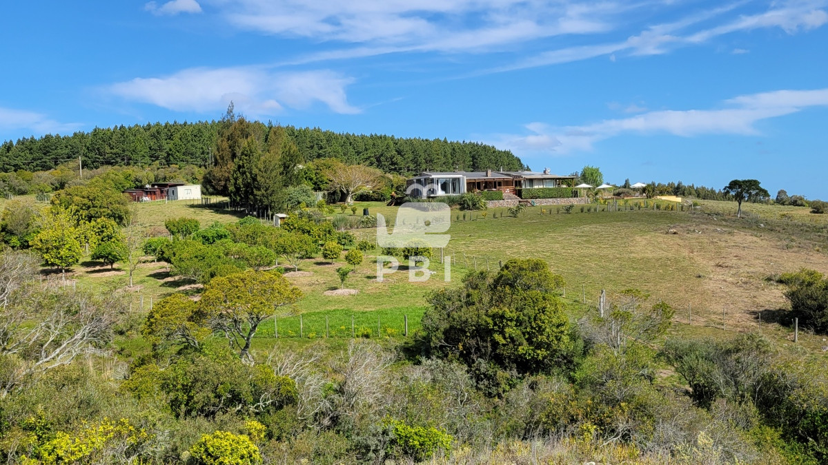 Q2hhY3JhIGVuIE1hbGRvbmFkbyAtIFJlZiA6IFBCSTEyNjY3