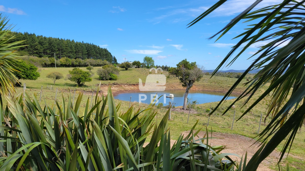 Q2hhY3JhIGVuIE1hbGRvbmFkbyAtIFJlZiA6IFBCSTEyNjY3