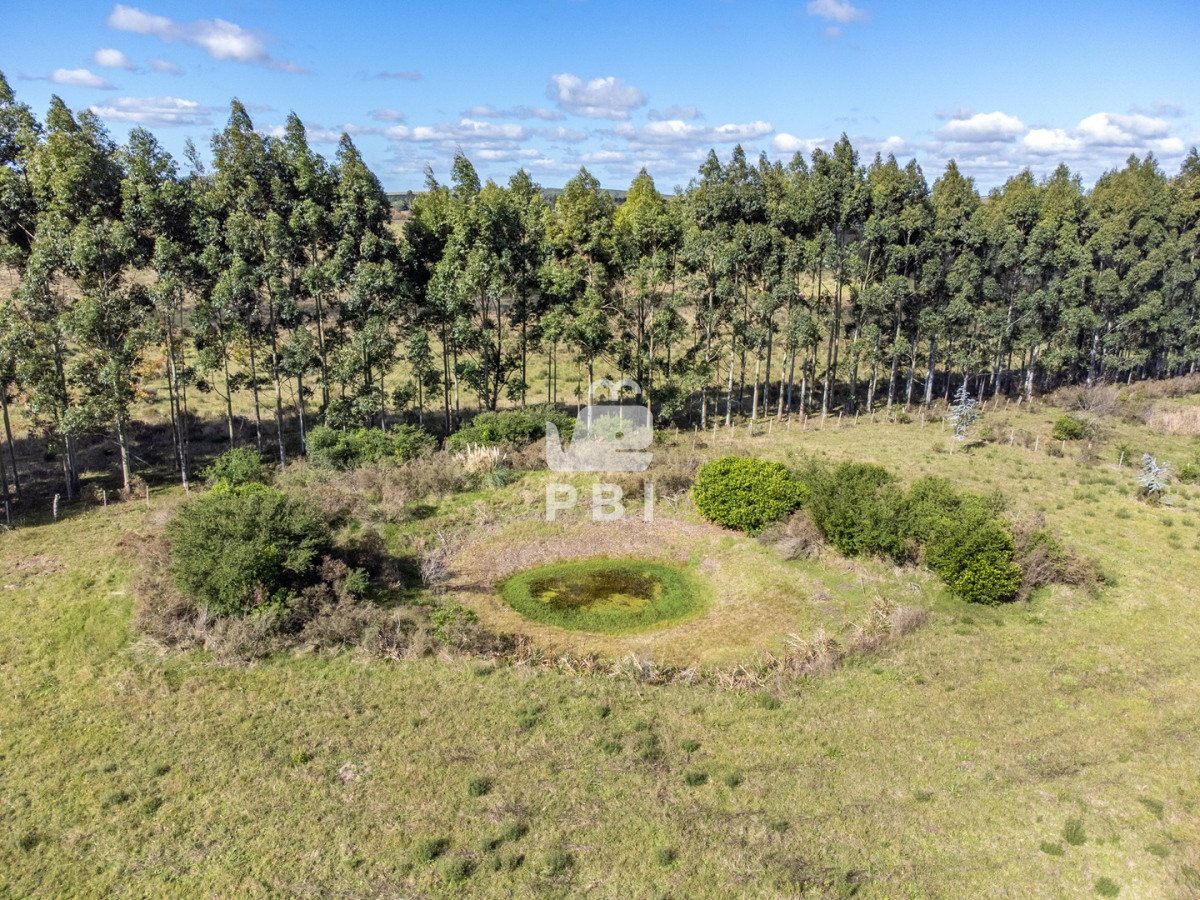 Punta Ballena - GoPunta - Portal Inmobiliario de Punta del Este - Maldonado