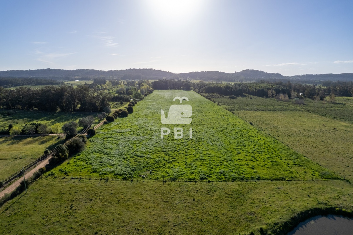 Q2hhY3JhIGVuIExhIFBhdGFpYSwgUHVudGEgQmFsbGVuYSAtIFJlZiA6IFBCSTEyOTQw