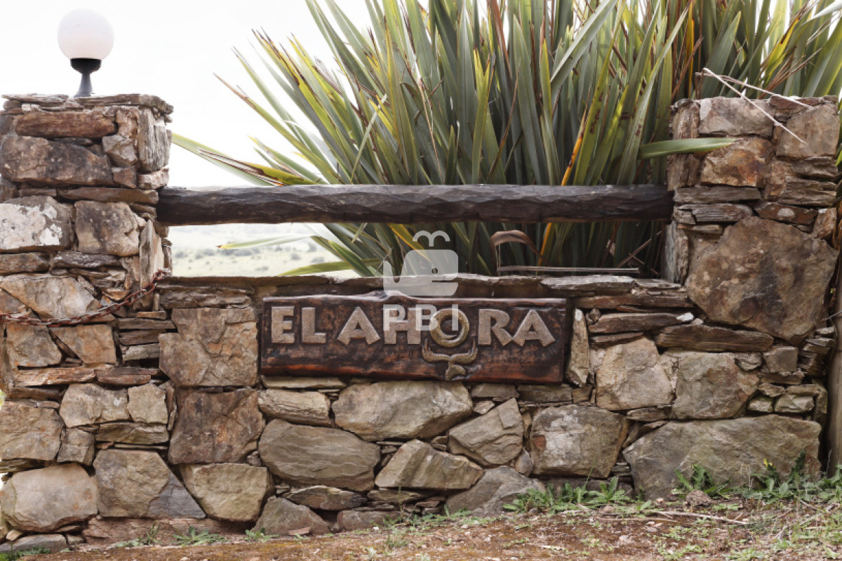 Q2hhY3JhIGVuIE1hbGRvbmFkbyAtIFJlZiA6IFBCSTEyNjY3