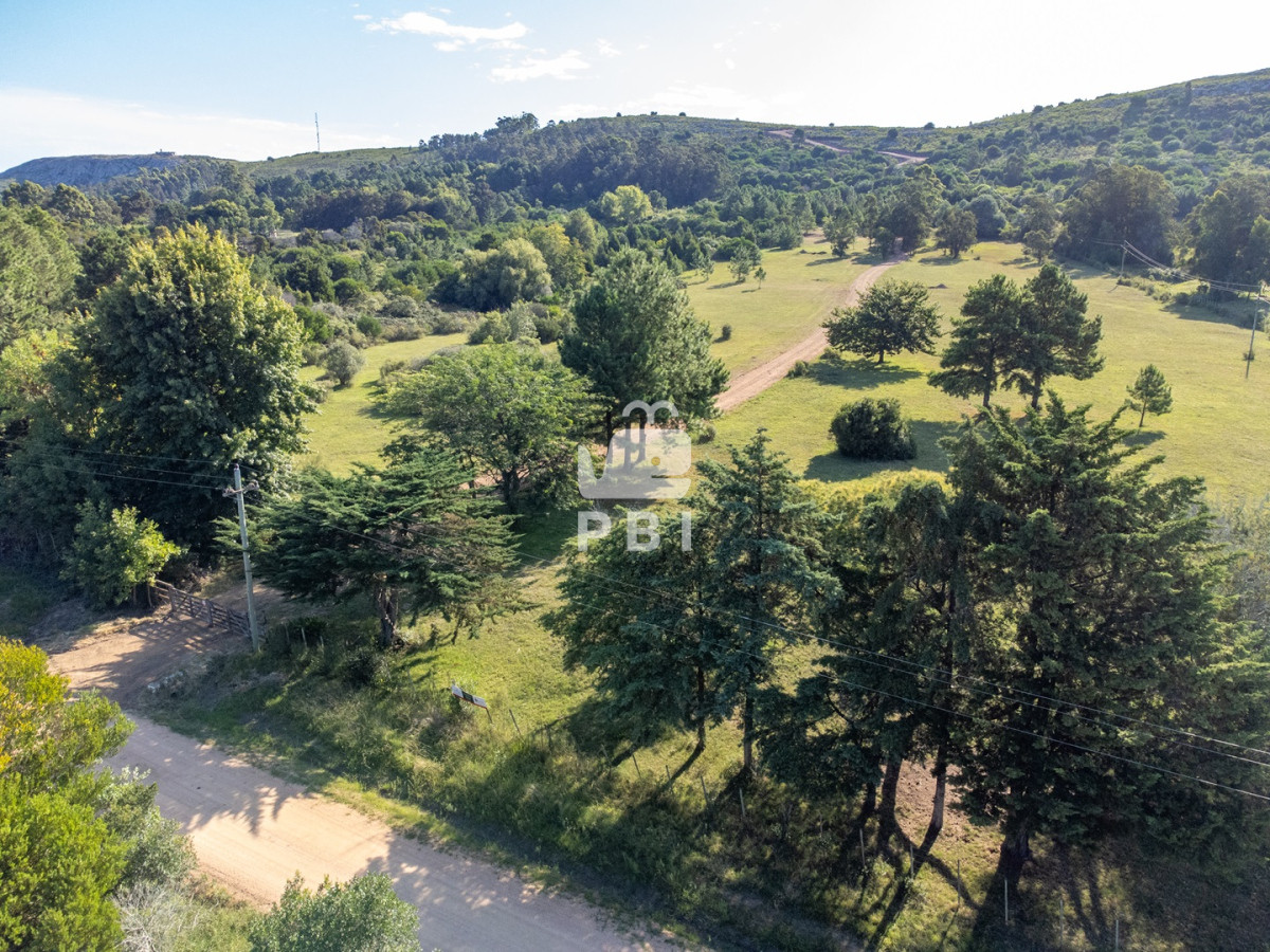 Punta Ballena - GoPunta - Portal Inmobiliario de Punta del Este - Maldonado