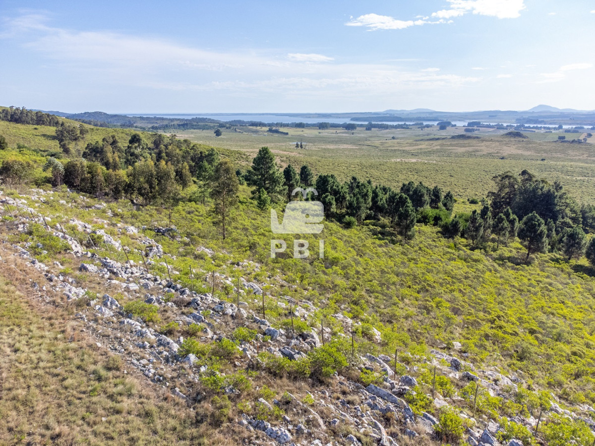 Venta de Chacra en Las Vertientes, Punta Ballena - Ref : PBI2273