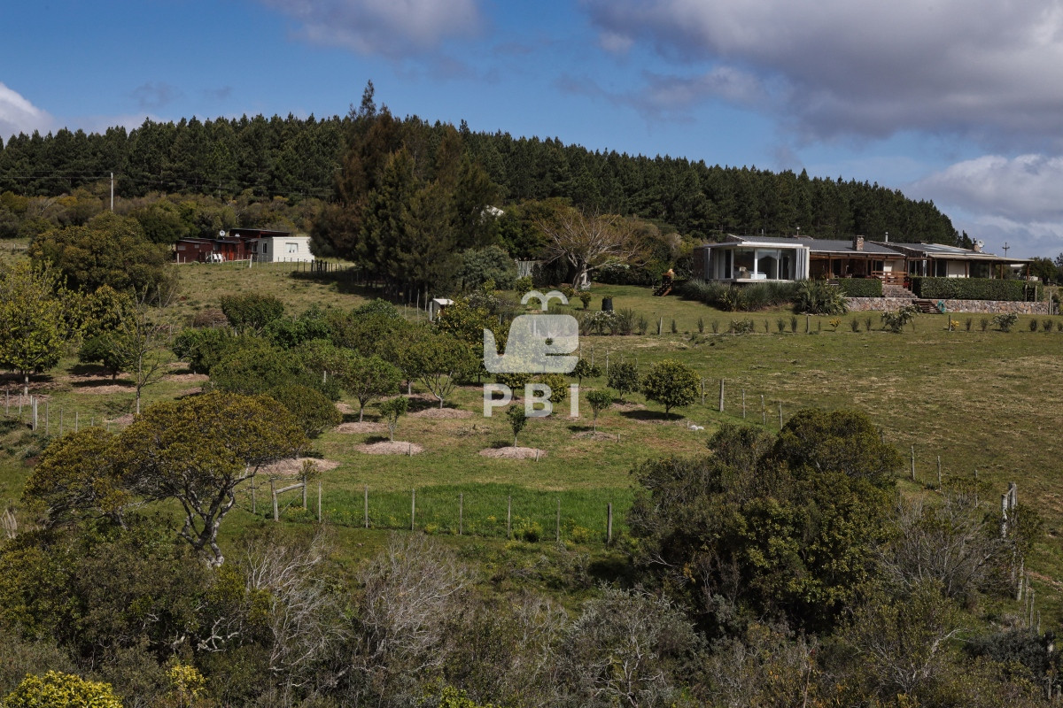 Q2hhY3JhIGVuIE1hbGRvbmFkbyAtIFJlZiA6IFBCSTEyNjY3