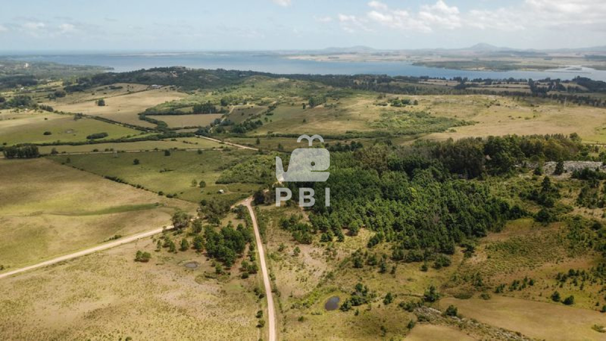 Punta Ballena - GoPunta - Portal Inmobiliario de Punta del Este - Maldonado
