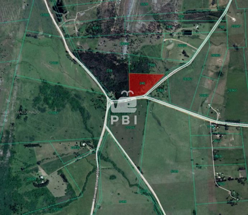 Punta Ballena - GoPunta - Portal Inmobiliario de Punta del Este - Maldonado