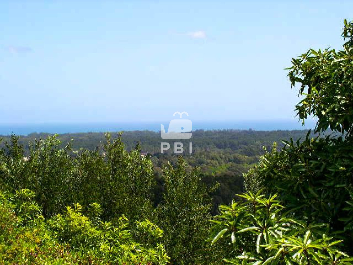 Q2hhY3JhIGVuIHZlbnRhIFB1bnRhIEJhbGxlbmEgIC0gUmVmIDogUEJJMTg1Mw==