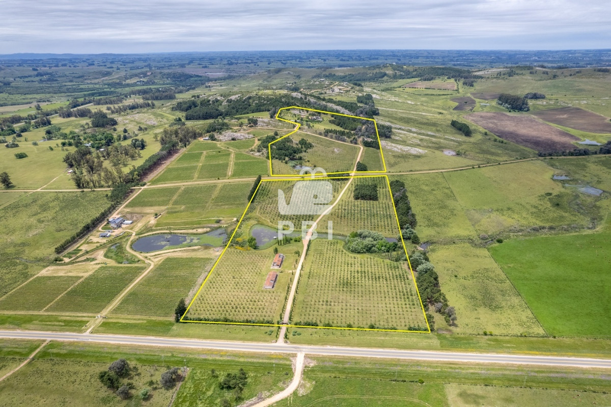 Laguna del Sauce - GoPunta - Portal Inmobiliario de Punta del Este - Maldonado