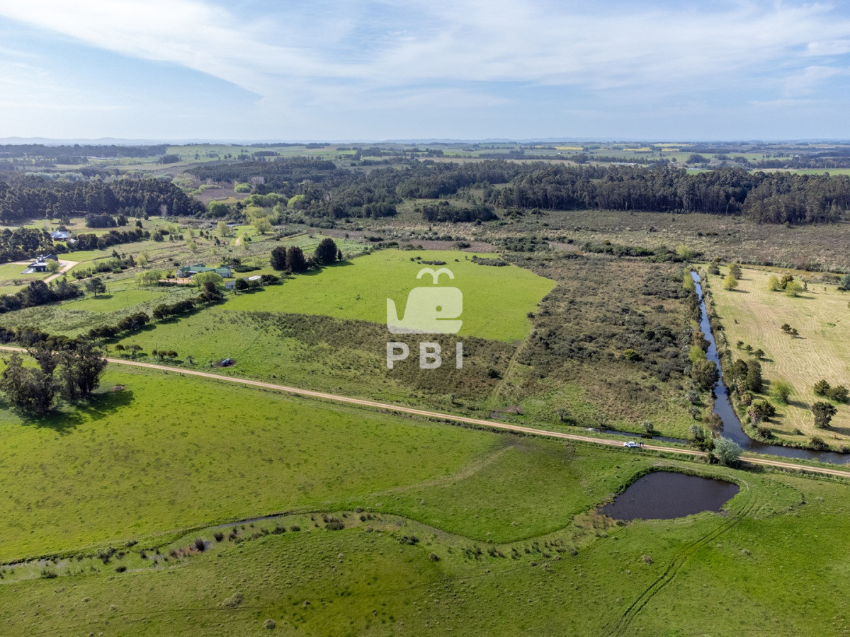 Ruta 104 - GoPunta - Portal Inmobiliario de Punta del Este - Maldonado