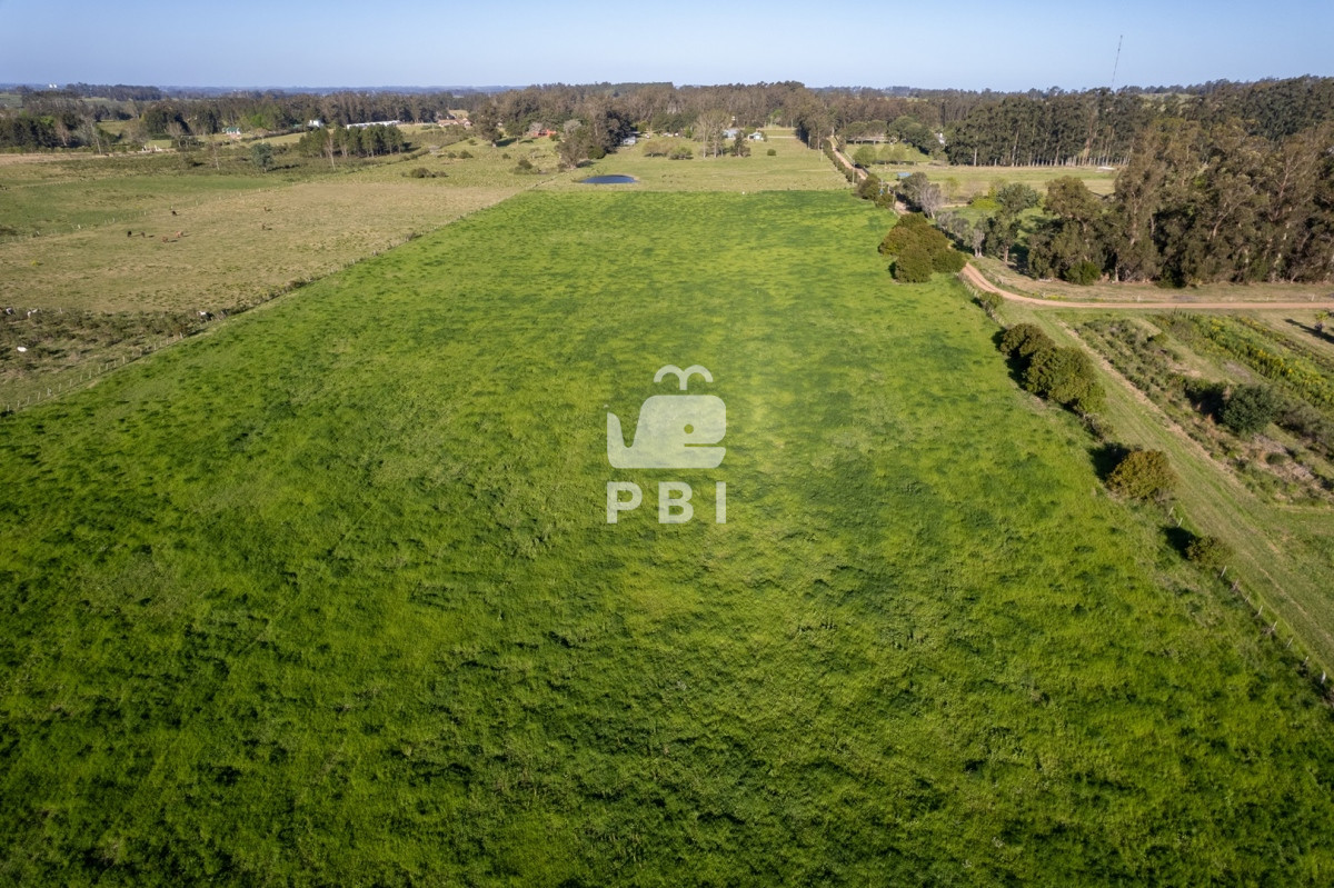 Q2hhY3JhIGVuIExhIFBhdGFpYSwgUHVudGEgQmFsbGVuYSAtIFJlZiA6IFBCSTEyOTQw