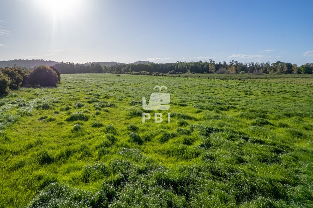 Q2hhY3JhIGVuIExhIFBhdGFpYSwgUHVudGEgQmFsbGVuYSAtIFJlZiA6IFBCSTEyOTQw