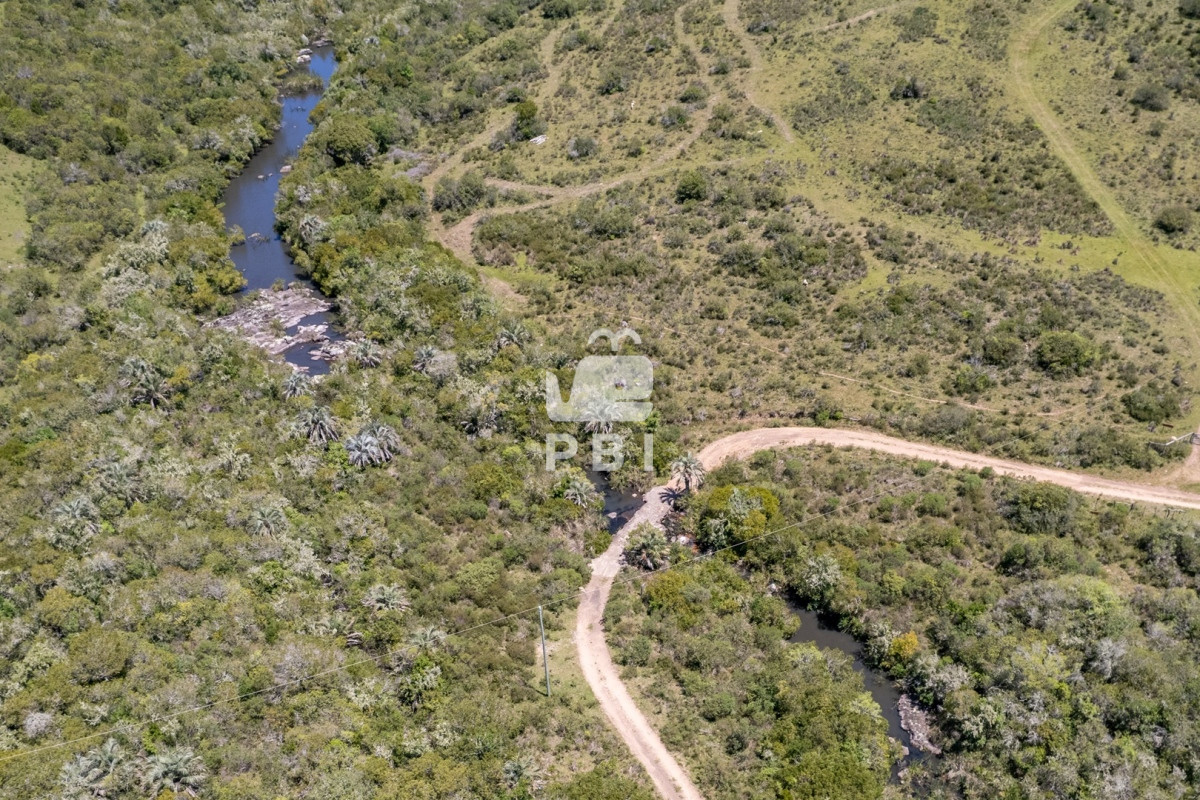 Aiguá - GoPunta - Portal Inmobiliario de Punta del Este - Maldonado