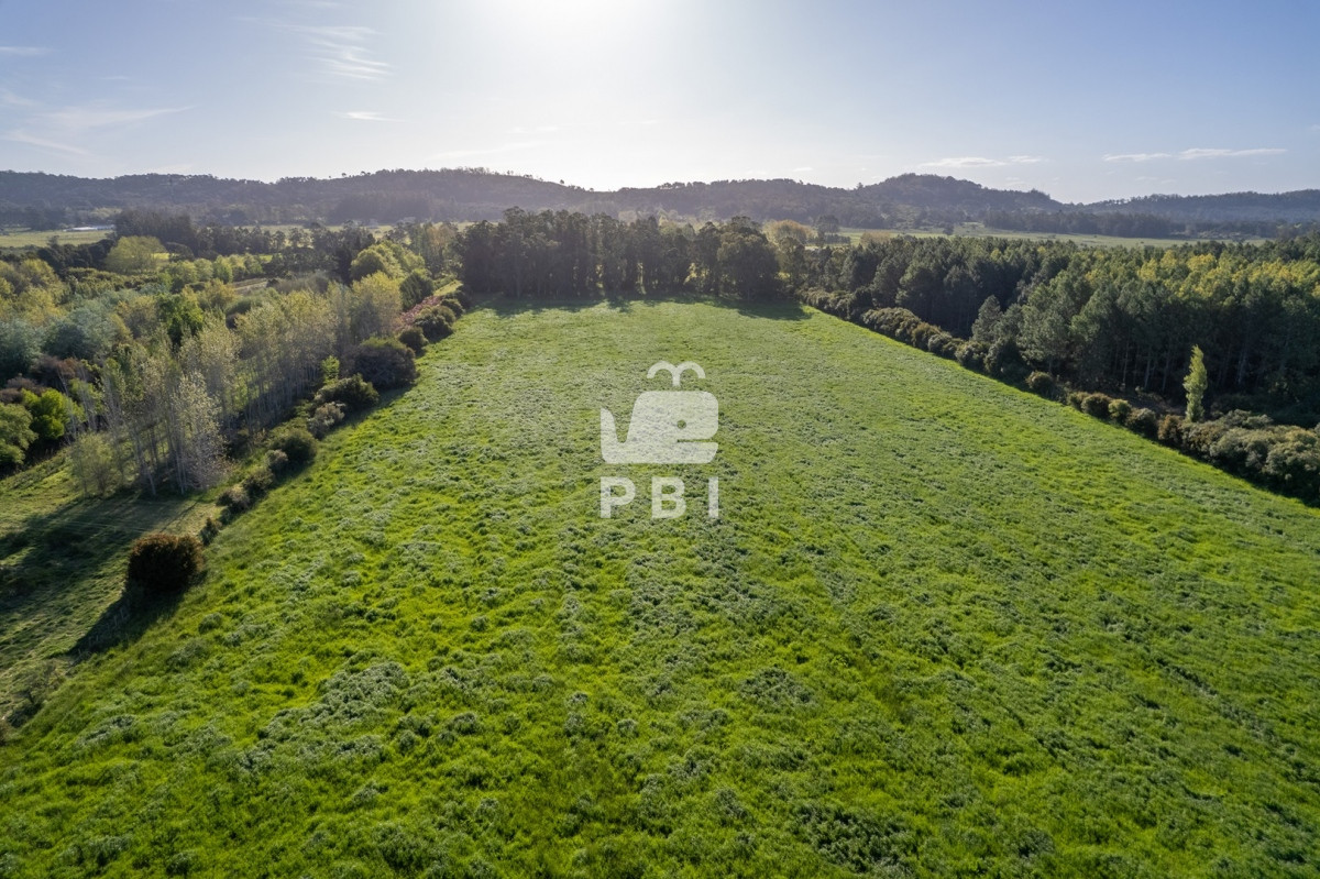 Q2hhY3JhIGVuIExhIFBhdGFpYSwgUHVudGEgQmFsbGVuYSAtIFJlZiA6IFBCSTEyOTQw