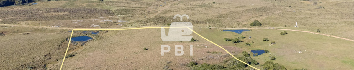 Chacras en venta en Maldonado.  - Ref : PBI14912