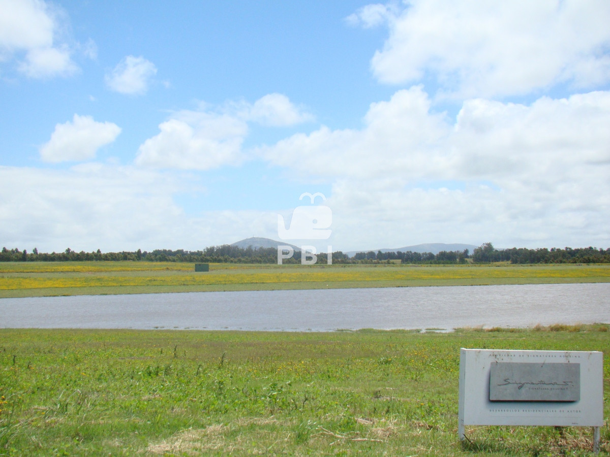 Laguna de los Cisnes - GoPunta - Portal Inmobiliario de Punta del Este - Maldonado