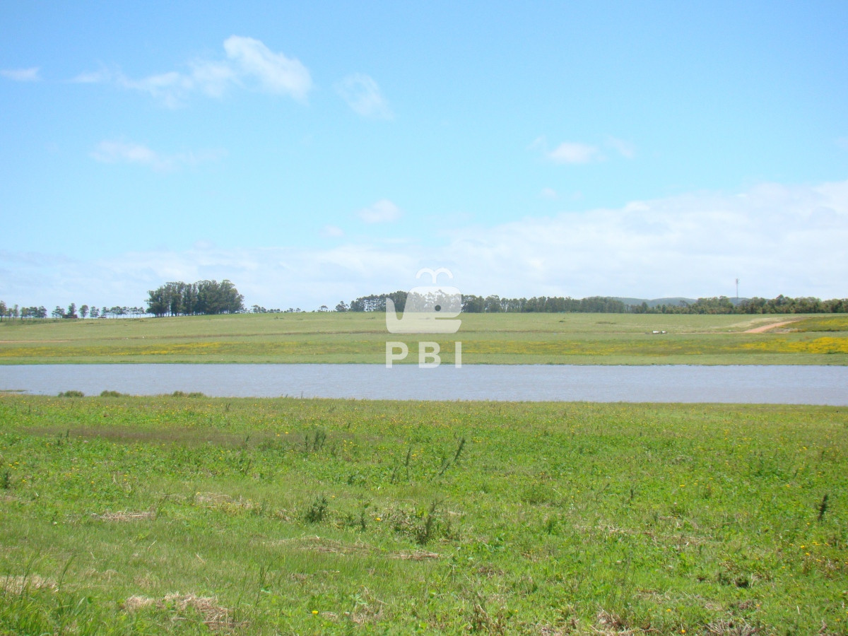 Laguna de los Cisnes - GoPunta - Portal Inmobiliario de Punta del Este - Maldonado