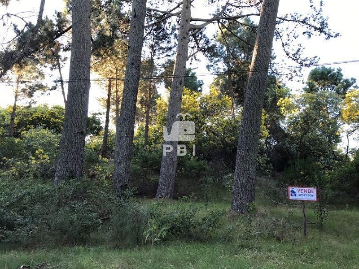 Terreno en venta Portezuelo Bosque   - Ref : PBI804